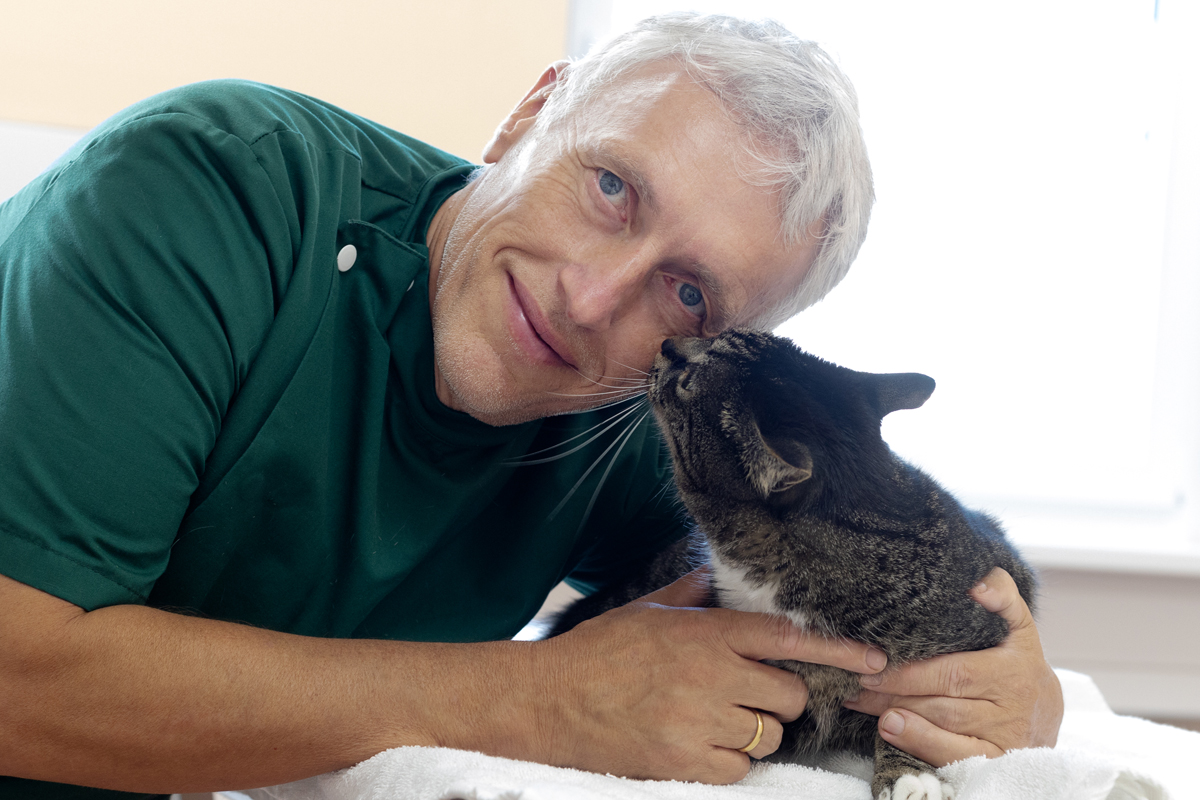 Katzenfreundliche Praxis | Tierarztpraxis Alte Feuerwache – Mülheim